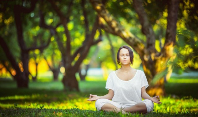 华体会-奥利维拉降服艺术震撼全场，第二回合背后裸绞加姆罗特夺胜