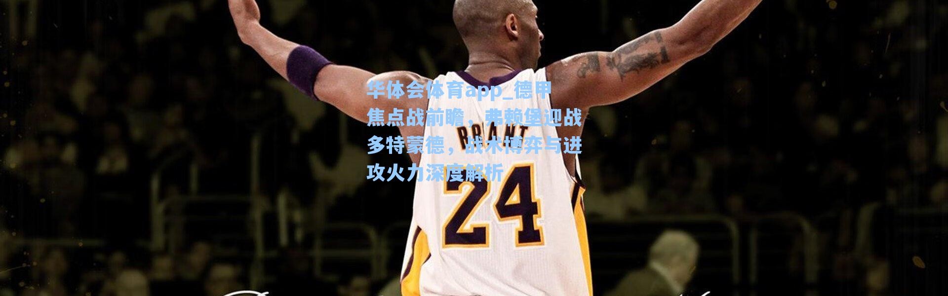 华体会体育app_德甲焦点战前瞻，弗赖堡迎战多特蒙德，战术博弈与进攻火力深度解析